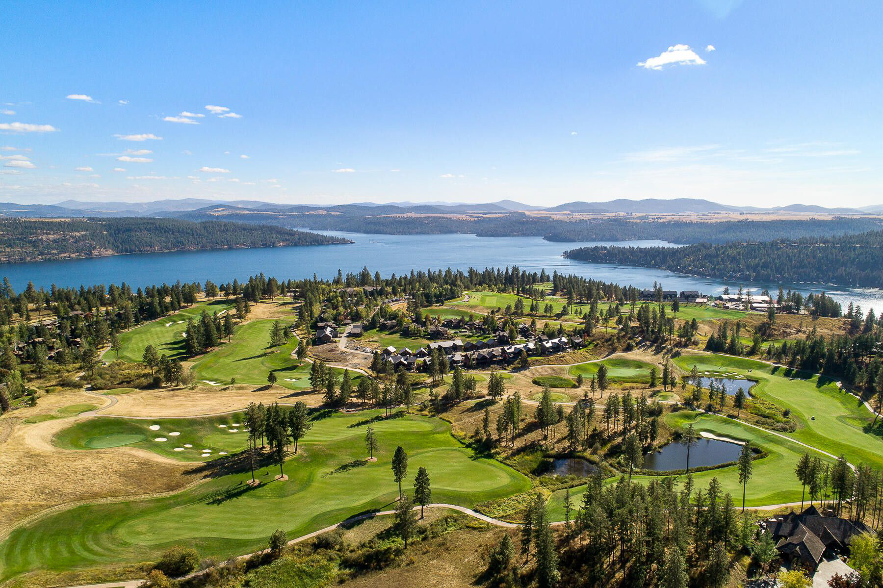 CDA Blackrock 17023 Citrine 4