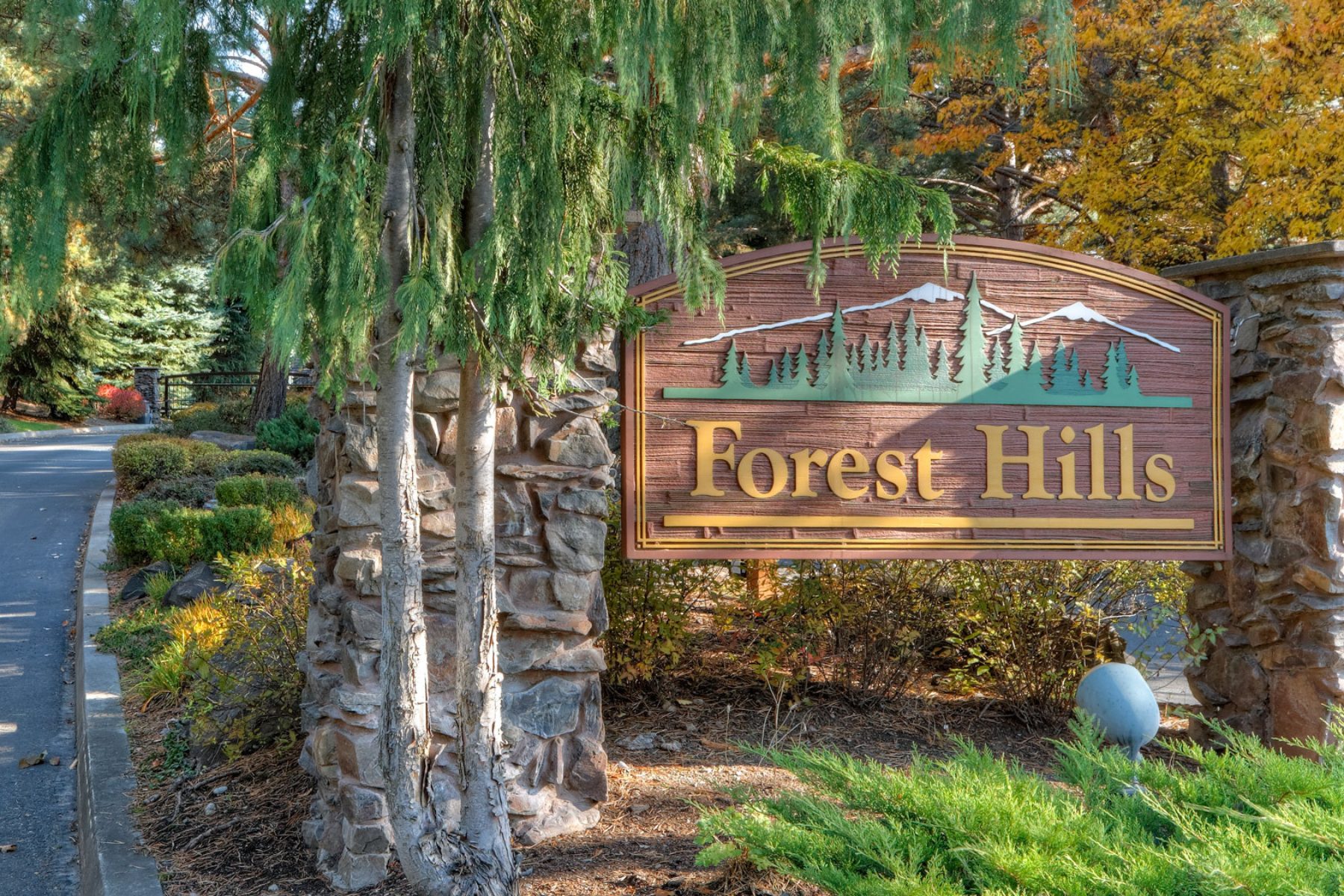 Forest Hills 1800x1200