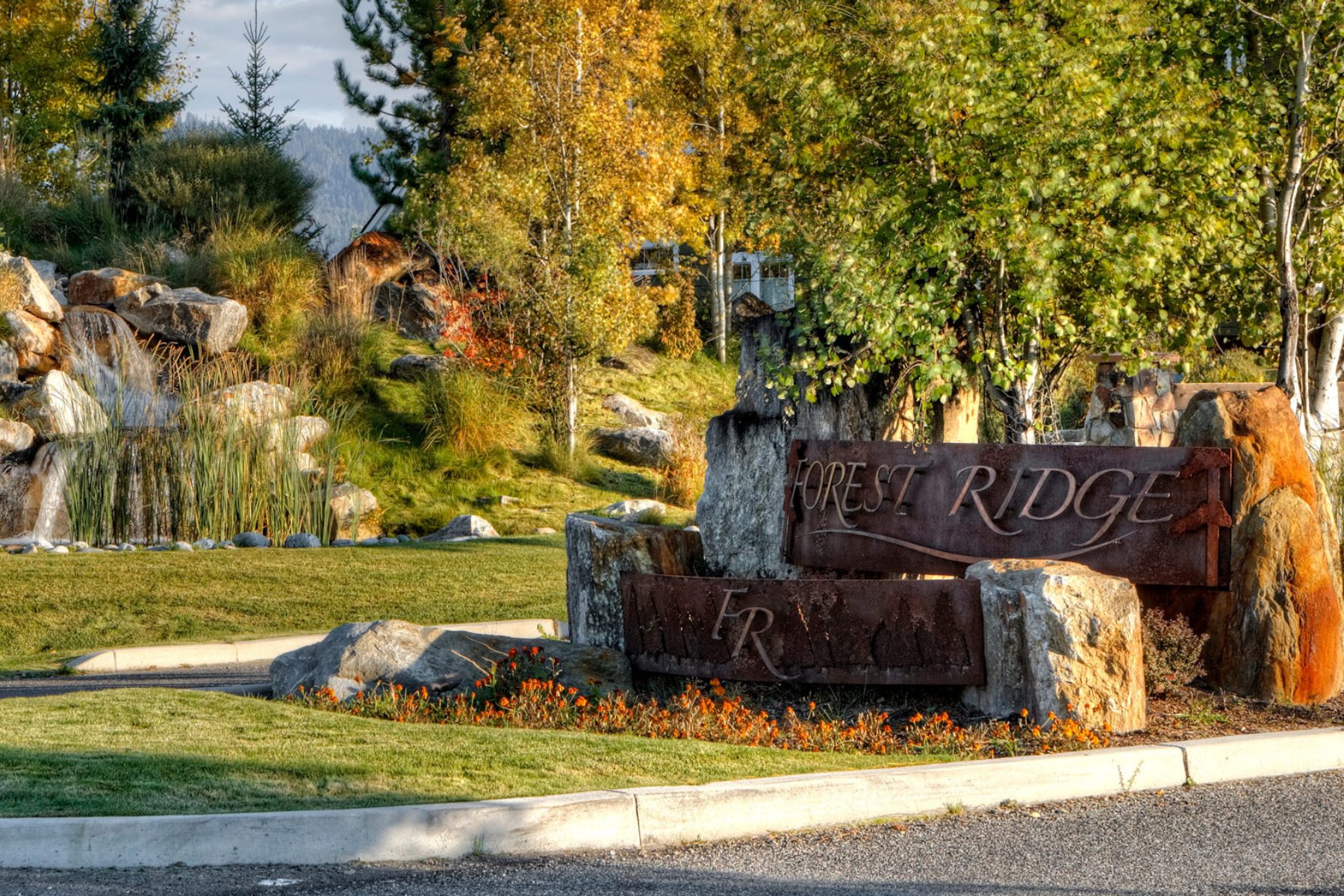 Forest Ridge 1800x1200