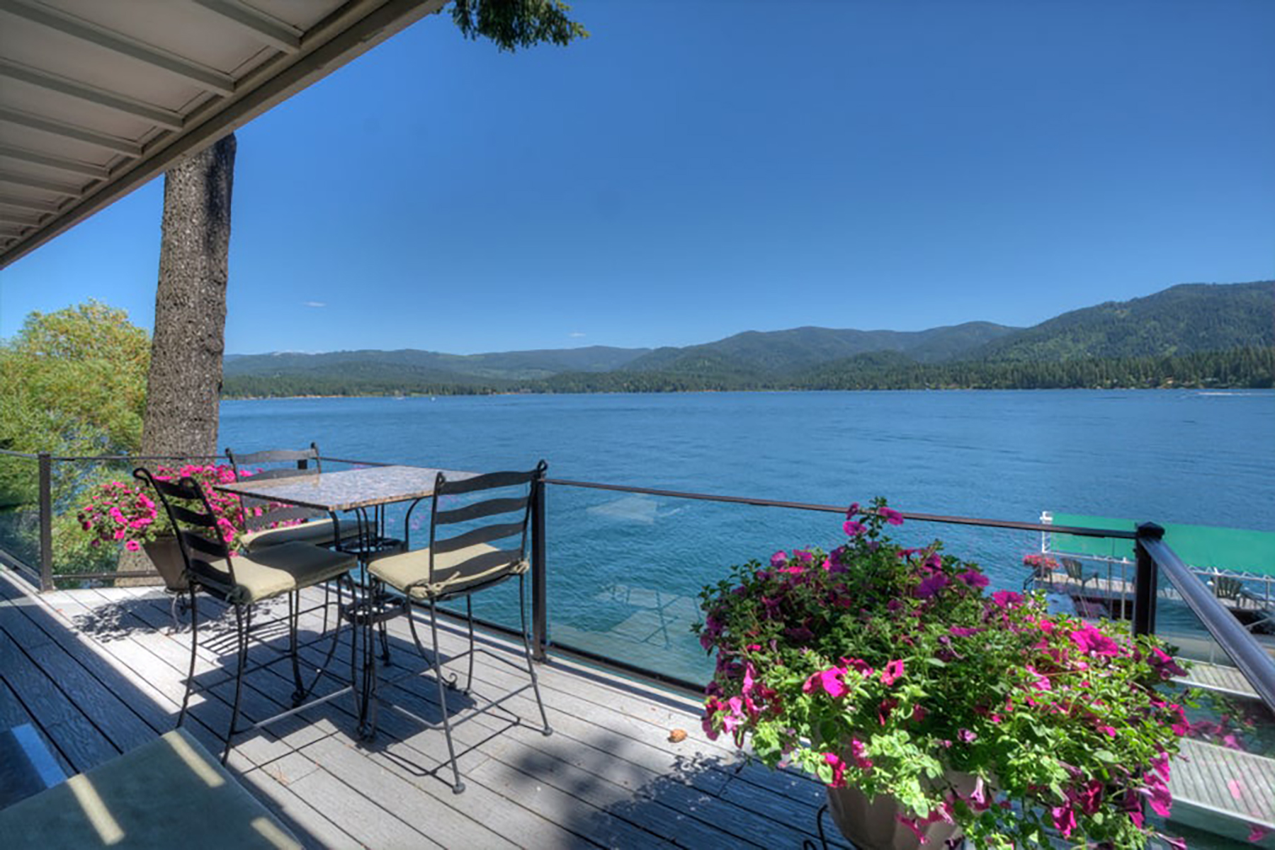 Hayden - English Point