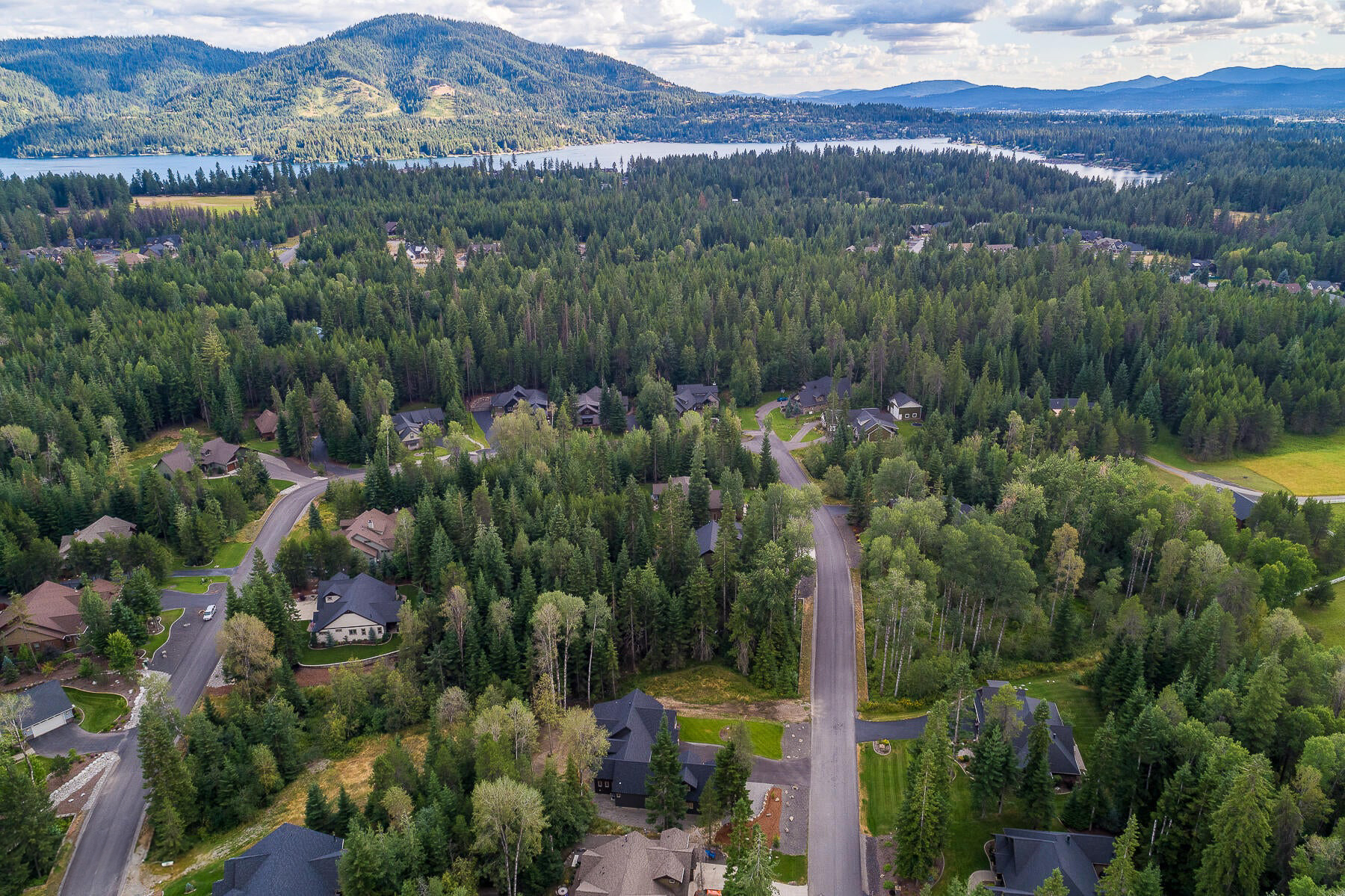 Hayden Forest Ridge 12326 Pebble Creek