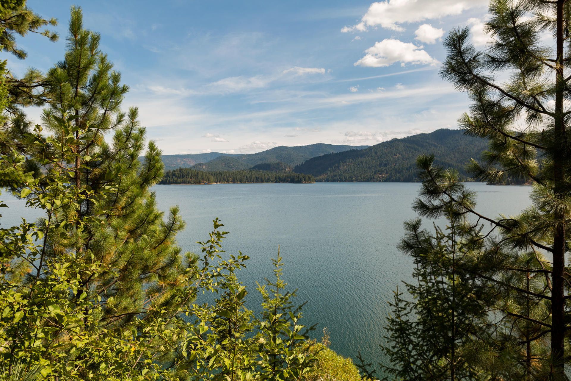 Hayden - Honeysuckle Hills