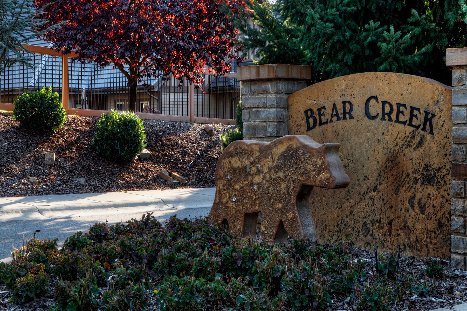bearcreekheader1800x1200