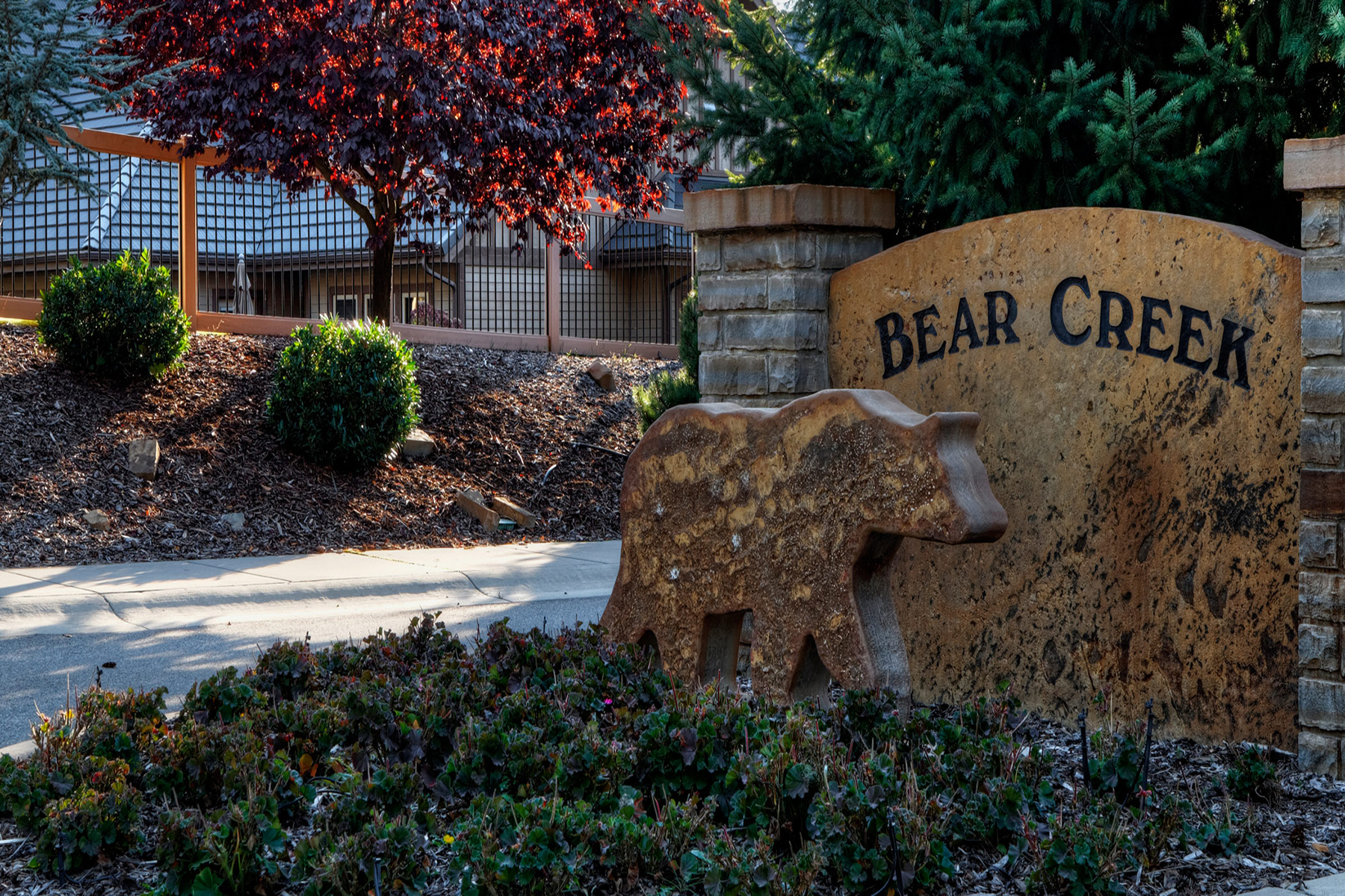 bearcreekheader1800x1200