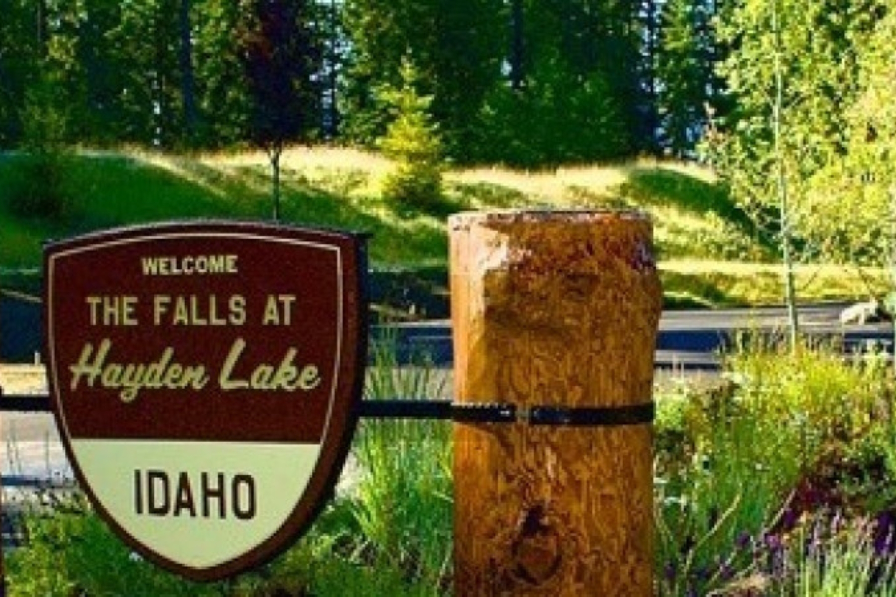 The Falls Hayden 1800x1200